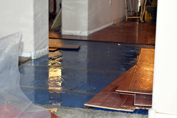 Professional Burst Pipe Cleanup technician working in Sugar Hill, NH